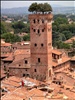 Lucca Uitzicht opTorre dei Guinigi met Eiken